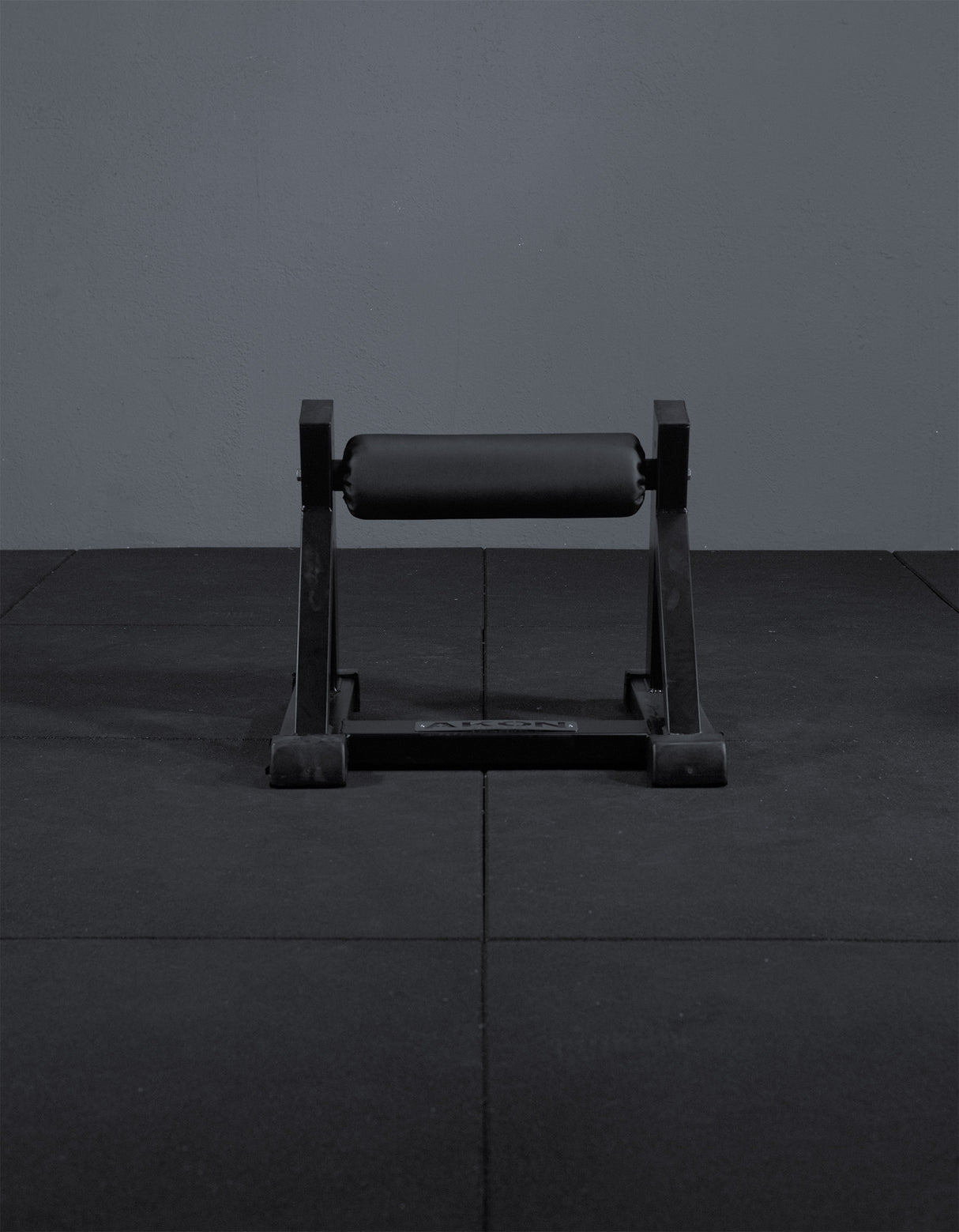 Bulgarian Squat Rack4