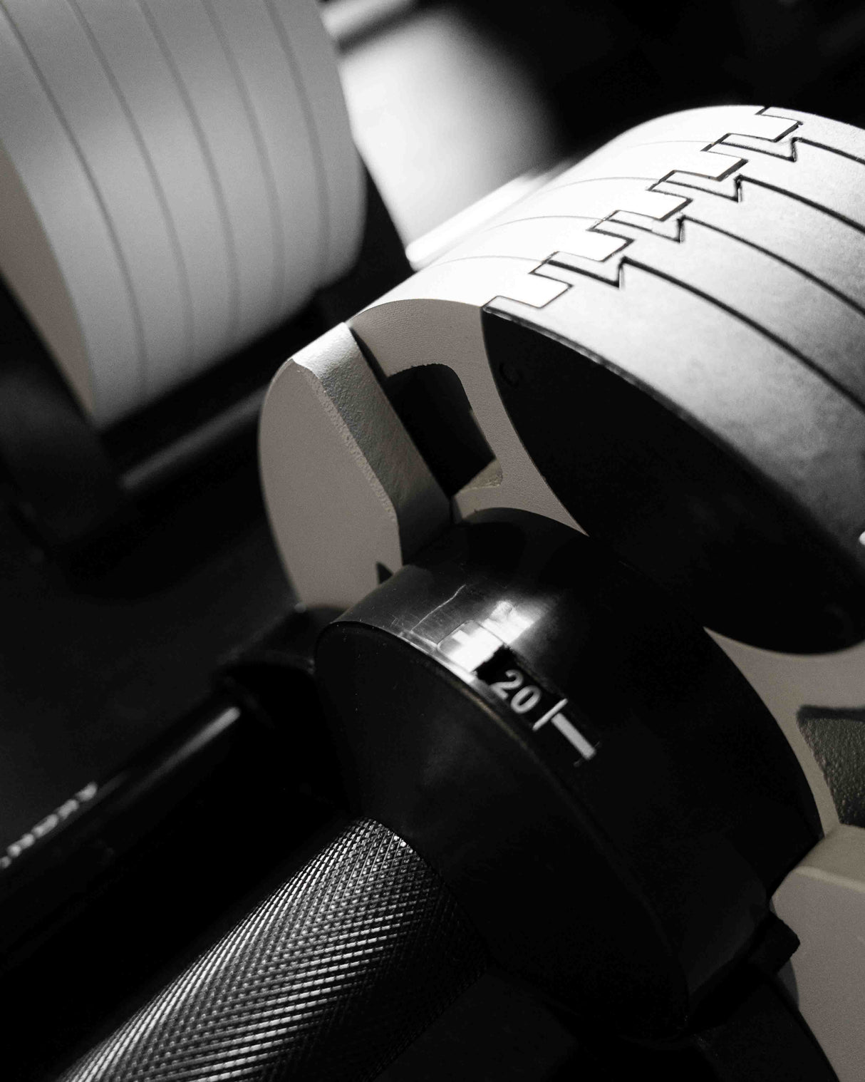 Mancuernas Regulables Premium (Pareja)