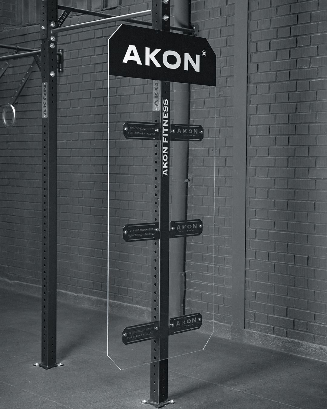 PANEL HANDSTAND PUSH UPS (HSPU)