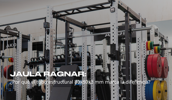 Jaula Ragnar: tubo estructural 80x80x3 mm para máxima estabilidad
