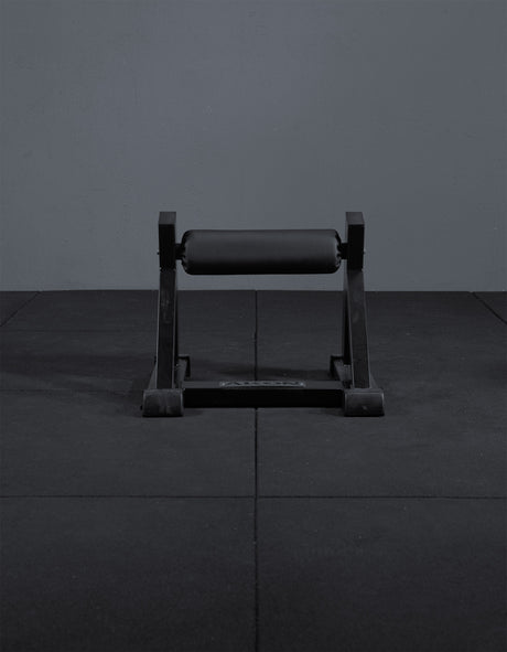 Bulgarian Squat Rack4