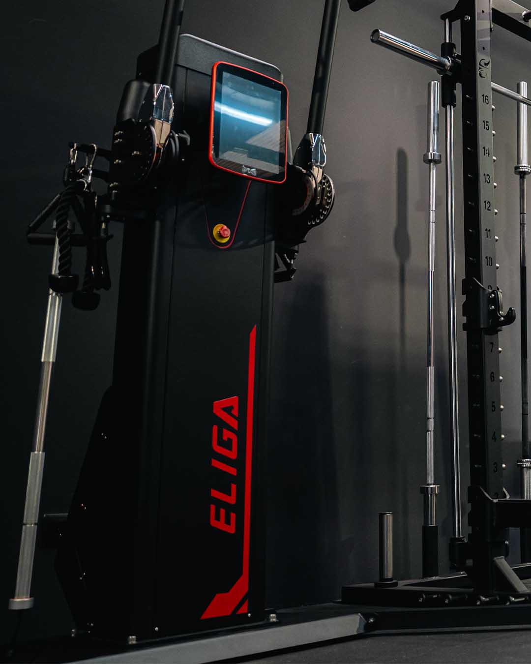 Functional Trainer Eliga