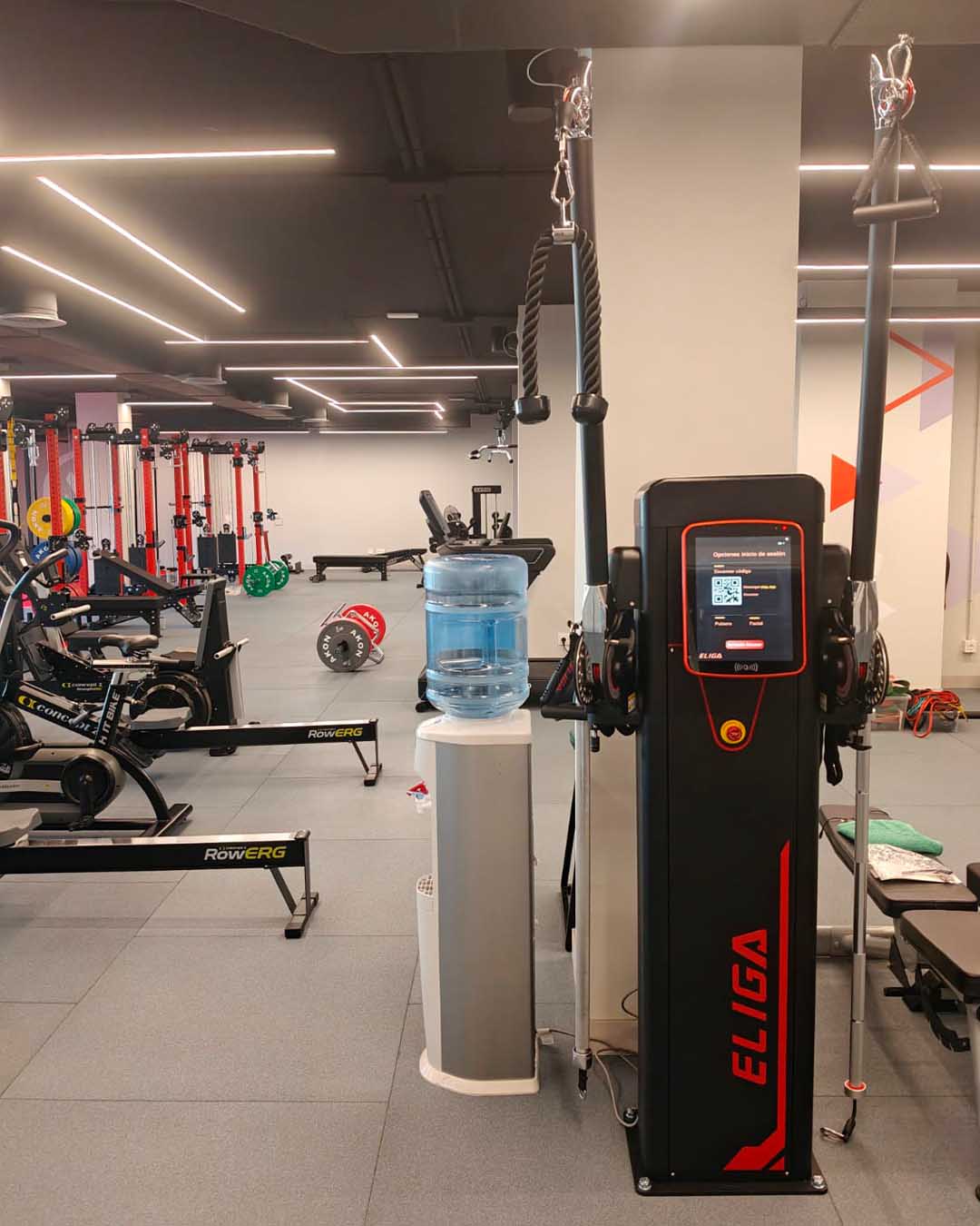 Functional Trainer Eliga