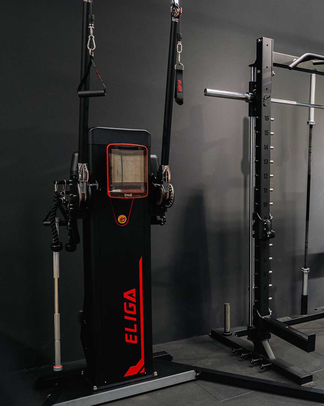 Functional Trainer Eliga