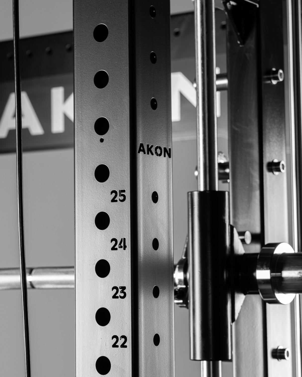 Jaula Ragnar con Doble Polea y Multipower