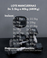 Lotes de Mancuernas Hexagonales